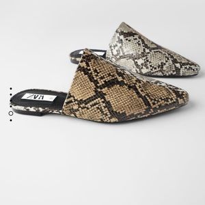 Snake print Zara mules. Brand new size 9